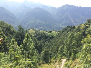 IMG_8473